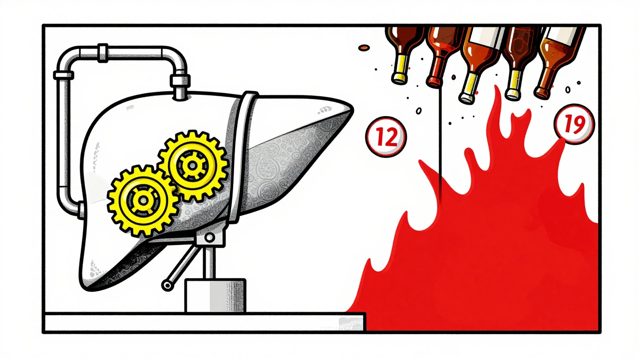 Alcohol and Diabetes Medications: How Drinking Affects Blood Sugar and Liver Health