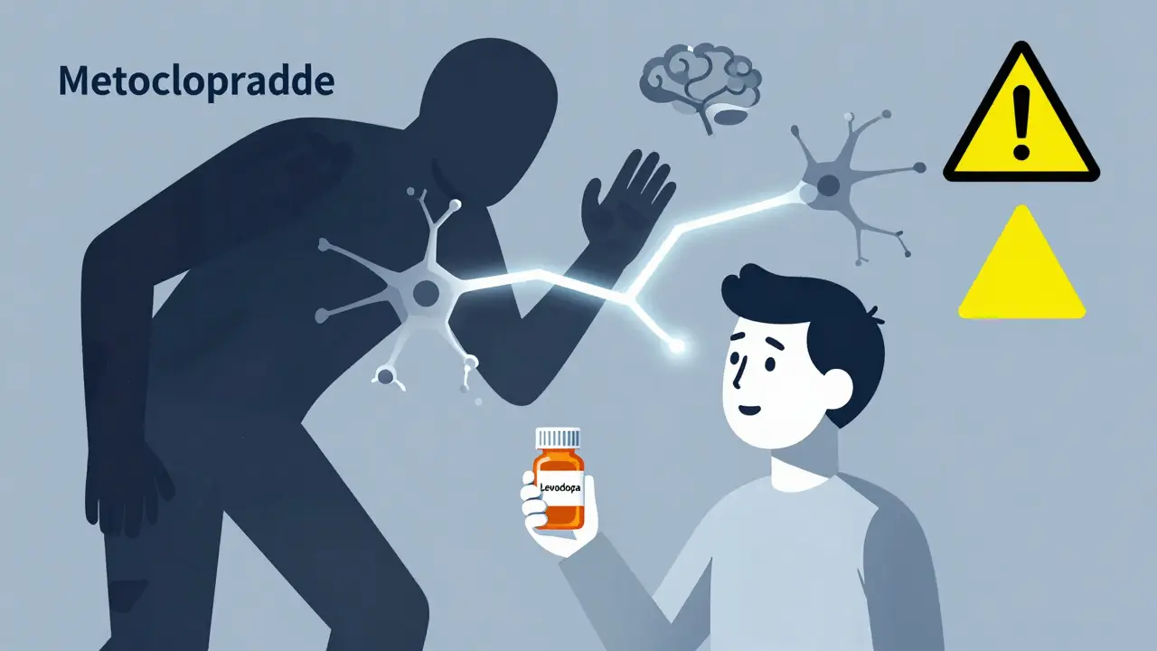 Antiemetics and Parkinson’s Medications: Avoiding Dangerous Dopamine Interactions